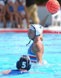 Plave "ajkulice" sa velikim srcem