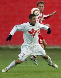 Zvezda zaribala u Zaplanjskoj