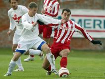 Zvezda zaribala u Zaplanjskoj