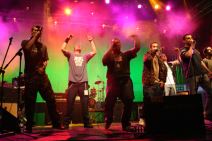 Muzičari za Kosovo, Sajam prazan