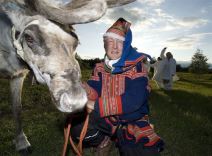 Žurka u polarnom krugu