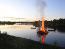 Žurka u polarnom krugu