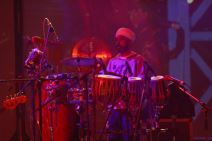 Jelen Pivo Live: Brown, Brejkersi i Rundek