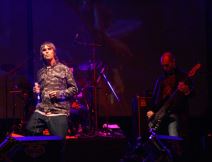 Jelen Pivo Live: Brown, Brejkersi i Rundek