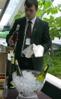 U vinu je istina, a u Beogradu Sajam vina