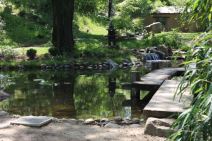 Bonsai - istočnjačka umetnost u Beogradu