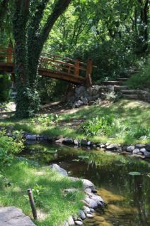 Bonsai - istočnjačka umetnost u Beogradu