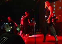 Sudar sa Anom Stanić na krovu