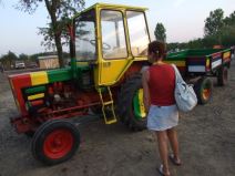 Bob Marli u Bantaskom Sokolcu