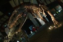 Džinovi Patagonije u Beogradu