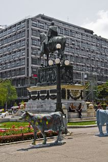 I Beograd dobio svoje krave