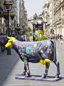 I Beograd dobio svoje krave