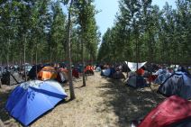 EXIT kamp: Dremanje i brčka