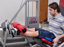 Naši "delfini" - jaki kao stena