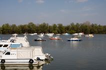 Dunav i Sava se spremaju za leto