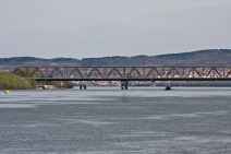 Dunav i Sava se spremaju za leto