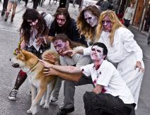 Zombi šetnja u Beogradu