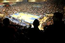 Zvezdina Evropa opet u Pioniru