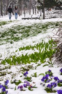 Neobičan prolećni dan