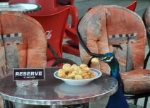 Rođendanska žurka u ZOO vrtu