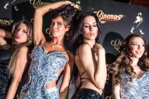 Modelsice za celu godinu