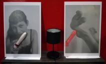 Izložba vibratora u Novom sadu