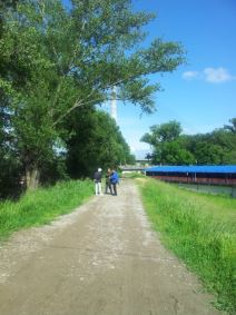 Sava udara u nasip na Adi