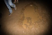 Blato. EXIT kao u Engleskoj