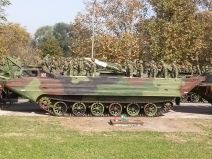 Poslednji glanc za paradu