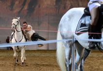 Jedinstveni akrobatski šou sa 20 konja na sceni, održan je po prvi put u Srbiji, u Kombank Areni, sa predstavom ”Pegasus”!