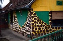 I u Vojvodini "žive" žirafe