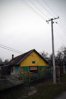 I u Vojvodini "žive" žirafe