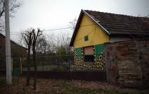 I u Vojvodini "žive" žirafe