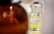 Recept za antiejdž kremu otkrilo nam je dvoje mladih naučnika na Festivalu nauke u Beogradu.