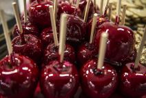 Kada počinje vašar na Beogradskom sajmu