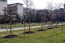 Studentski park će tokom noći biti privremeno zatvoren dok traju radovi na rekonstrukciji kapija.