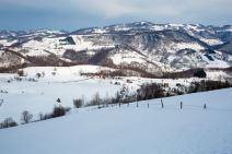 vampir sava savanovic svadja dva sela 