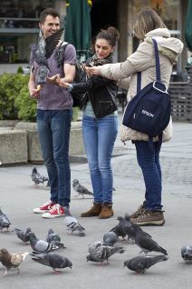 Golubovi jedu iz ruke Beograđanima na Trgu Republike.