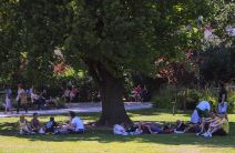 Ulice Novog Sada za vreme EXIT-a