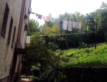 Beograd: Veš suše na banderi