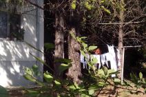 Beograd: Veš suše na banderi