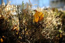 Jesen je počela, temperature u Beogradu i dalje letnje