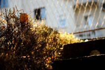 Jesen je počela, temperature u Beogradu i dalje letnje