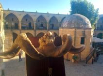 Nikozija - glavni grad Kipra, šta posetiti