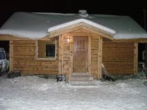 Aleksandar Nikolić, Sale haski, trke psećih zaprega