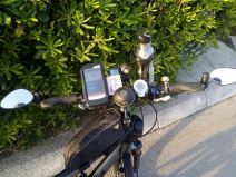 Dejan Vukić - navijač Novaka Đokovića - Crna Gora