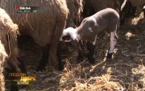 Roksanda Babić voditeljka "Plodovi dobre zemlje"