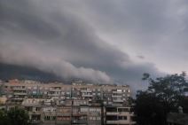 Vetar divljao, obarao drveće po Beogradu  (FOTO)