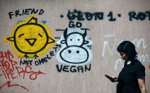 Go Vegan ulični grafiti u Beogradu