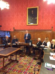 Vidovdan u britanskom parlamentu